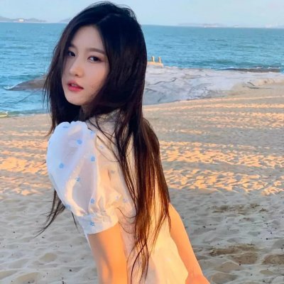 萌犬流浪记