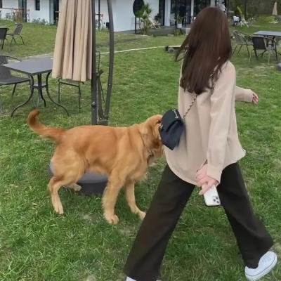 心灵访客